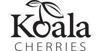 koala_logo